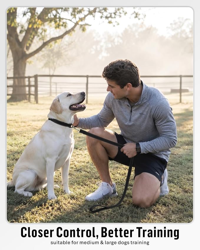 FunTags Reflective Nylon Dog Leash for Medium & Large Dogs, 4FT Training | Comfortable Padded Grip, Stay Safe at Night, 360° Anti-Tangle Swivel, for Dog Parks & Trails, Black - Image 5