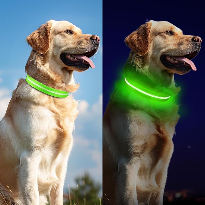 LED Dog Collar, Light Up Dog Collar USB-C Rechargeable Waterproof | 360° Visibility Light Up Dog Collar, Adjustable Nylon Collar with 3 Modes for Small Medium Large Dogs Night Walk Green S - Image 7