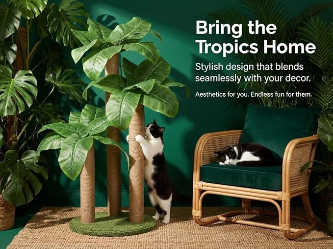 LEMONDA 31.5Inch Cat Scratching Post,Cat Scratcher Tree with 3 Scratching Poles & 2 Interactive Dangling Balls,Cats Scratching Posts for Indoor Kitten & Adult Cats | Cat Scratcher Tree, Cat Scratching Posts,3 Scratching Poles,2 Interactive Dangling Bal... - Image 4