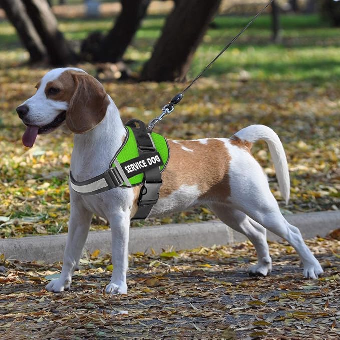 JSXD Dog Harness,No-Pull Service Dog Harness with Handle Adjustable Outdoor Pet Dog Vest 3M Reflective Nylon Material Vest for Breeds,Easy Control for Small Medium Large Dogs - Image 7