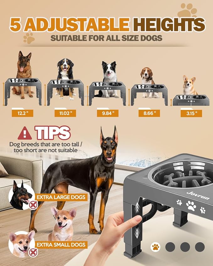 Jovrun Elevated Dog Bowls for Medium Large Size Dogs, Non-Slip Dog Feeder with 1*Stainless Steel Dishes & 1*Slow Feeder Bowl, 5 Heights Adjustable Raised Bowls to 3.15″-8.66″-9.84″-11.02″-12.2″ - Image 2