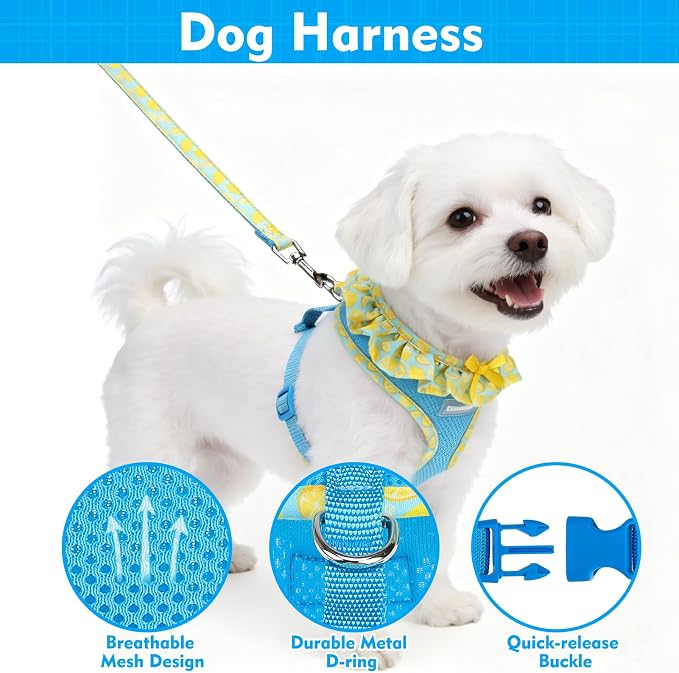 EXPAWLORER Step-in Dog Harness Small Sized and Leash Set | Cute Small Dog Harness No Pull Girl, Breathable Soft Mesh Padded, Adjustable Light Puppy Vest for Dogs Cats, Lemon XS - Image 3