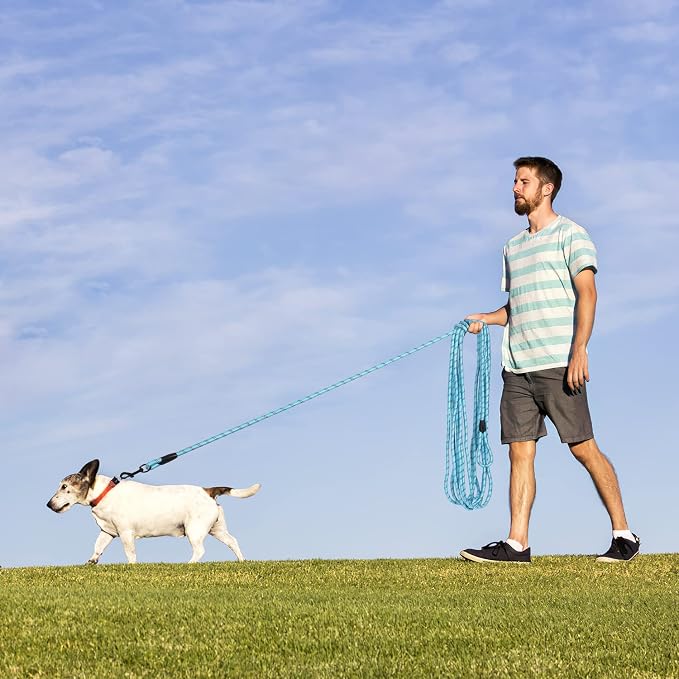 Long Dog Leash for Training 30Ft-Reflective Nylon Rope with Swivel Hook-Recall Agility Lead for Large Small Medium Dogs Outside Walking Hiking-Sky Blue - Image 6