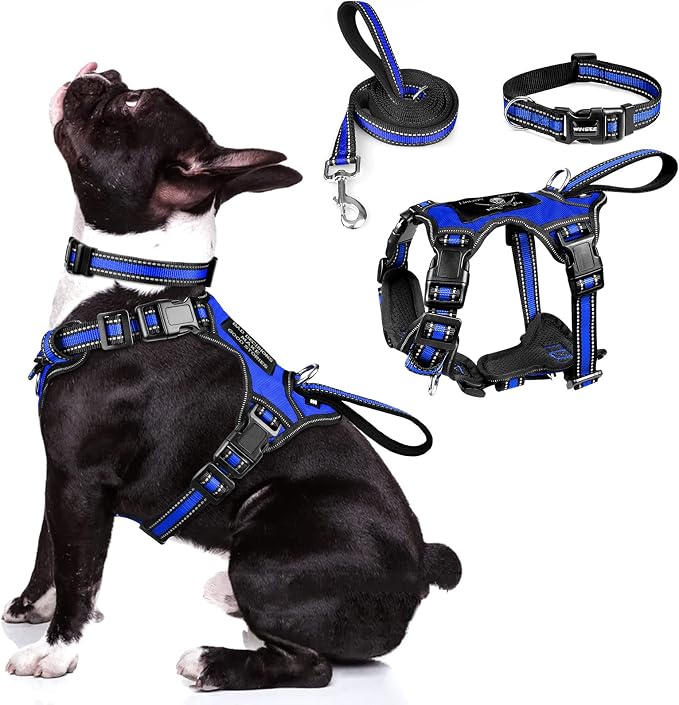 Pet Harness Collar and Leash Set, All-in-one Reflective Dog Harness No Pull with Adjustable Buckles for Puppies, Small, Medium, Large, and Extra-Large Dogs (Medium, Dark Blue) by WINSEE