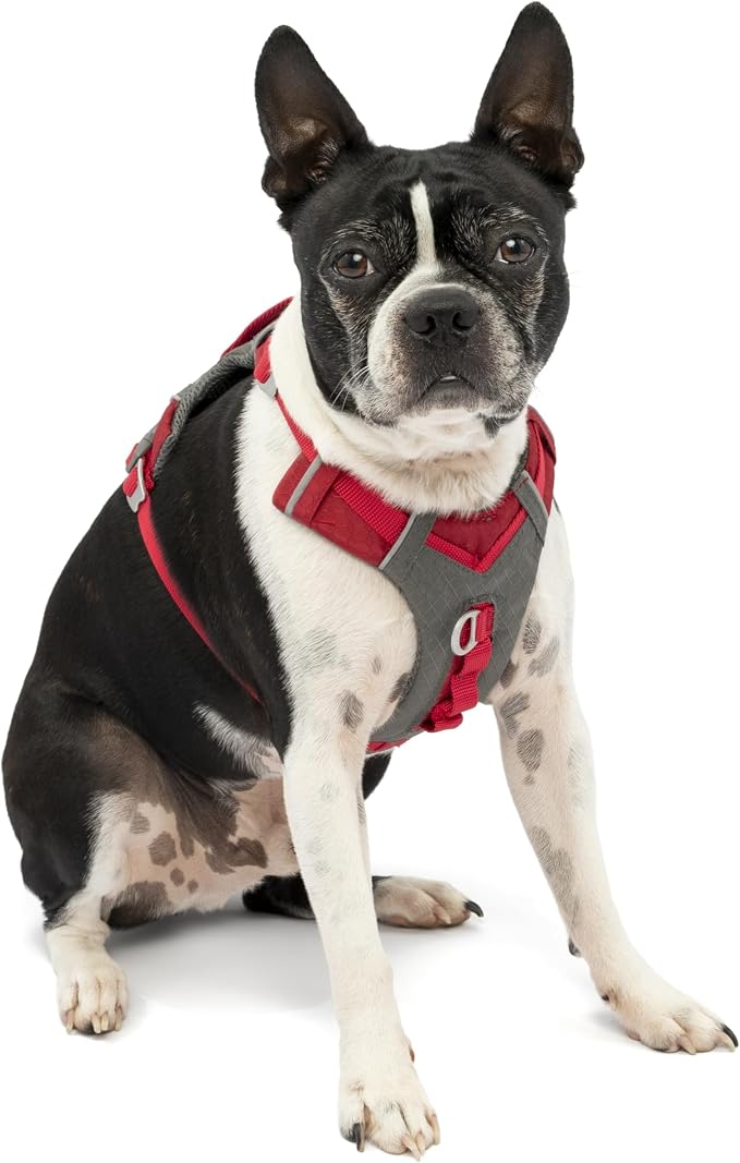 Kurgo Journey Air Dog Harness, Red, Small | Padded Chest, Ripstop Outer & Breathable Mesh, Back Assist Handle, Rust-Free Aluminum Hardware, Reflective Trim - Image 3