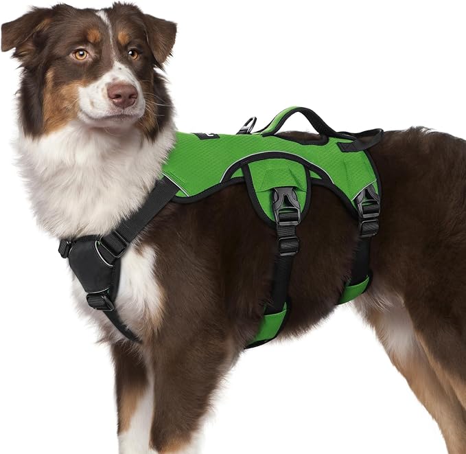 rabbitgoo Escape Proof Dog Harness for Medium, No Pull with Lift Handle | No Escape, Full Soft Padded, Reflective Adjustable Vest, Leash Clip for Walking Hiking Training, Green, Medium by rabbitgoo