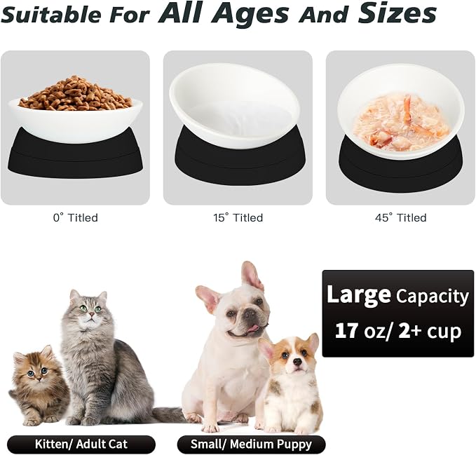 Elevated Cat Bowl, Adjustable Raised Slanted Food Bowl for Cats and Small Dogs, Wide Shallow PP Dish with TPR Non Slip Base, Whisker Friendly, 17 oz - Image 3