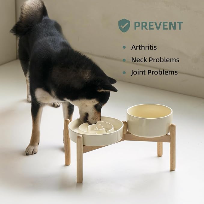 Havniva Elevated Slow Feeder Dog Bowls, Ceramic Dog Bowl Slow Feeder Set | 1.2 Cups Raised Slow Feeder Dog Bowl for Small Breed, 6.1” Dog Water Bowl with Wooden Stand, Puzzle Dog Food Bowl, Non-slip - Image 6