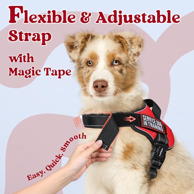 rabbitgoo No Pull No Choke Pet Vest, Adjustable Pet Harness with Molle | Medium Sized Dog Harness, Reflective, Easy Wearing with One Buckle for Walking, Training, Red, M - Image 5