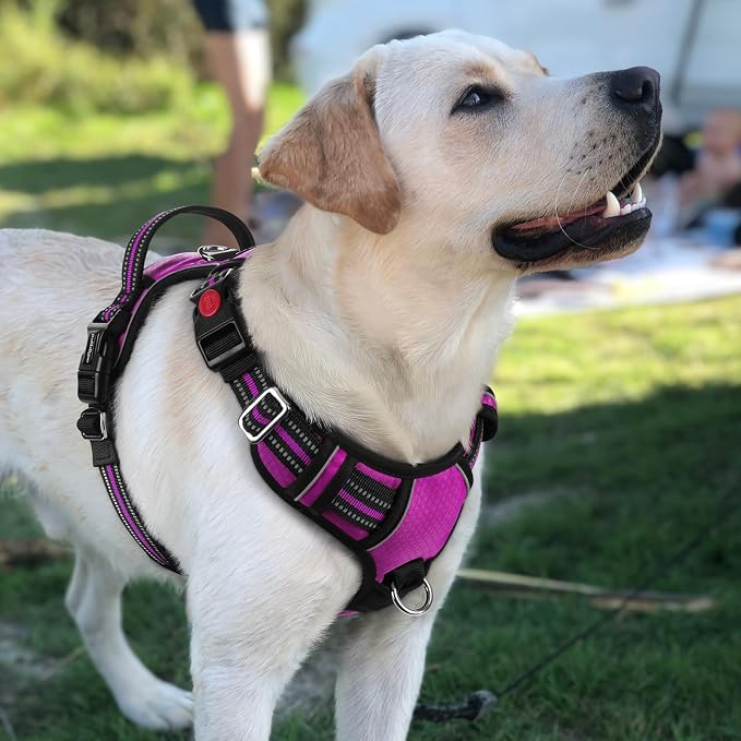 rabbitgoo Dog Harness for Large, No Pull 3 Buckles Easy On & Off | Soft Padded, Walking with Control Handle, Adjustable and Reflective, Purple, Large - Image 8