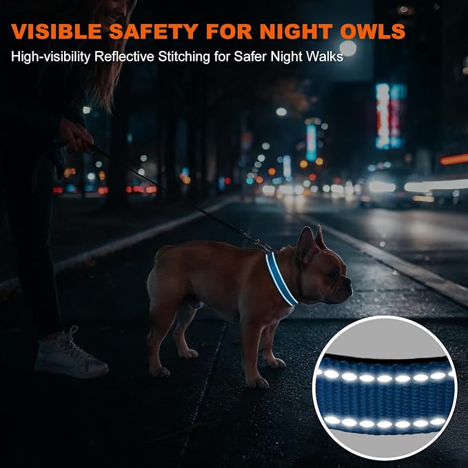 Taglory Reflective Small Dog Collar, Comfort for Safe Night Walks, SkyBlue | Night-Walk Visibility, Soft Neck Cushioning, Adjustable 10-16 in, Locking Buckle, D-Ring for Leash and ID Tags - Image 5