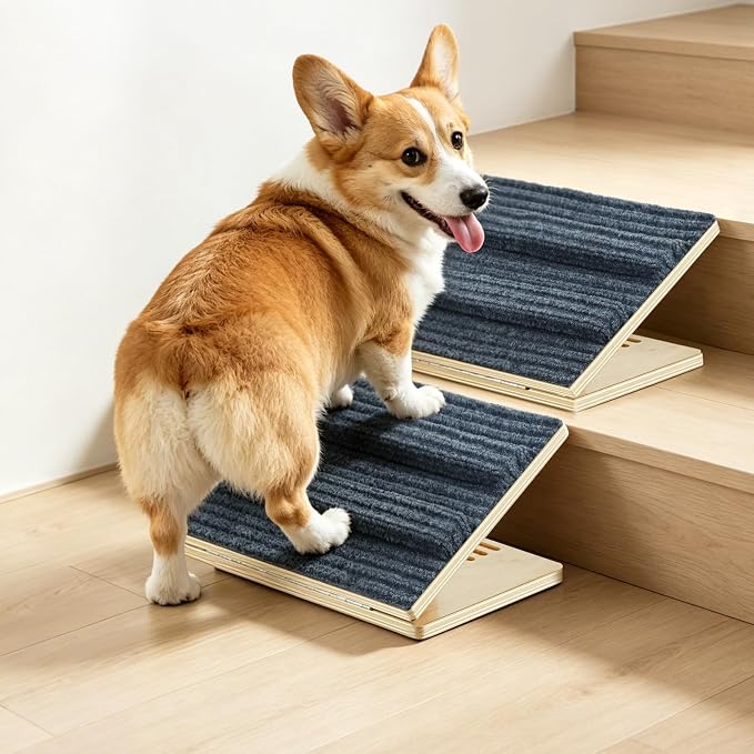 Dog Ramp for Stairs for Small Dogs Up to 40 lbs - Adjustable Dog Stair Ramp with Non-Slip Carpet, Foldable Pet Ramp for Stairs, Dog Ramp Stairs for Senior Dogs, Puppies, Bed, Sofa (2-Pack) by Unknown