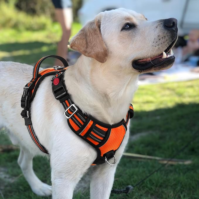 rabbitgoo Dog Harness for Large, No Pull 3 Buckles Easy On & Off | Soft Padded, Walking with Control Handle, Adjustable and Reflective, Orange, Large - Image 8