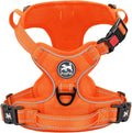 PoyPet No Pull Dog Harness, Reflective Vest with 2 Leash Clips & Handle | Lockable Neck Release Buckle, No Choke, Adjustable, Soft Padded, for Walking Training, Orange Matching Trim, Small by PoyPet