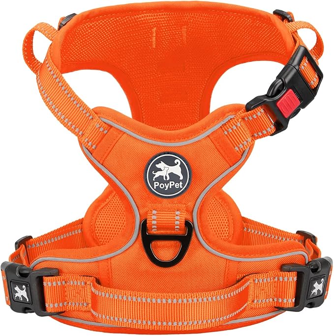 PoyPet No Pull Dog Harness, Reflective Vest with 2 Leash Clips & Handle | Lockable Neck Release Buckle, No Choke, Adjustable, Soft Padded, for Walking Training, Orange Matching Trim, Large by PoyPet