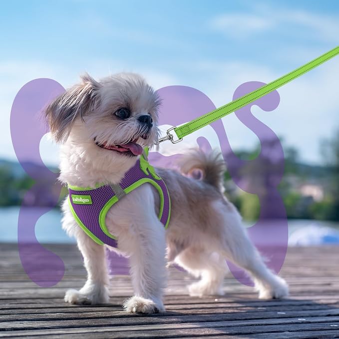 rabbitgoo Dog Harness Small Sized and Leash Set, Step in Soft Vest | Breathable Mesh, Easy Wear with Hook & Loop, Light and Reflective for Walking, Multi-colored, Purple & Green, XS - Image 8