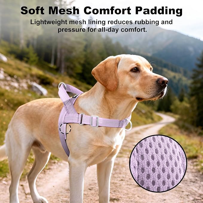 No Pull Dog Harness with Handle, Adjustable Soft Mesh Padded Vest | Reflective Walking Harness with Front Clip for Small Medium Large Dogs, Quick Fit No Escape for Training, Purple, S - Image 4