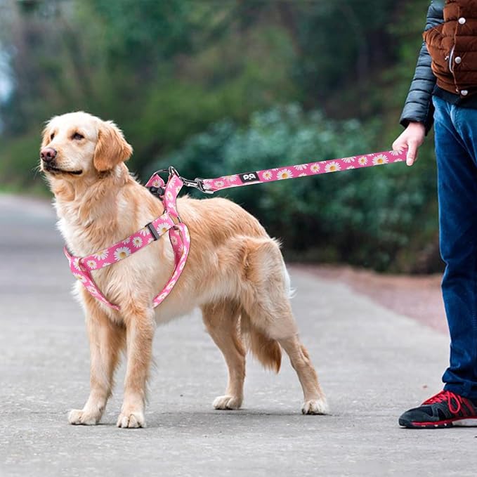 Dog Harness Leash Set Adjustable Heavy Duty No Pull Halter Harnesses for Small Medium Large Breed Dogs Back Clip Anti-Twist Perfect for Walking (L(23"-32" Chest Girth), Daisy) - Image 5