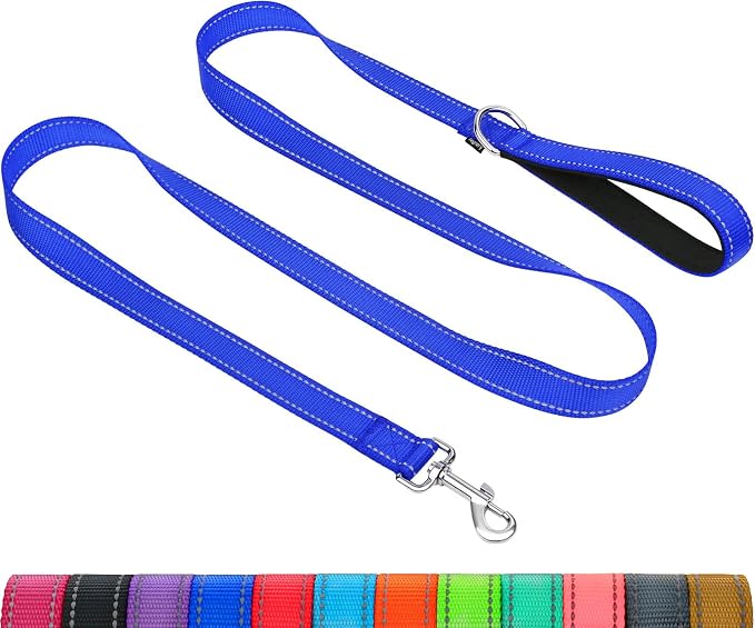 Taglory Reflective Dog Leash for Small Dogs, 3/4in x 4ft, Navy Blue | Ideal for Night Walking, Strong for Sudden Pulls, Lightweight & Gentle on the Neck, Soft Padded Handle by Taglory