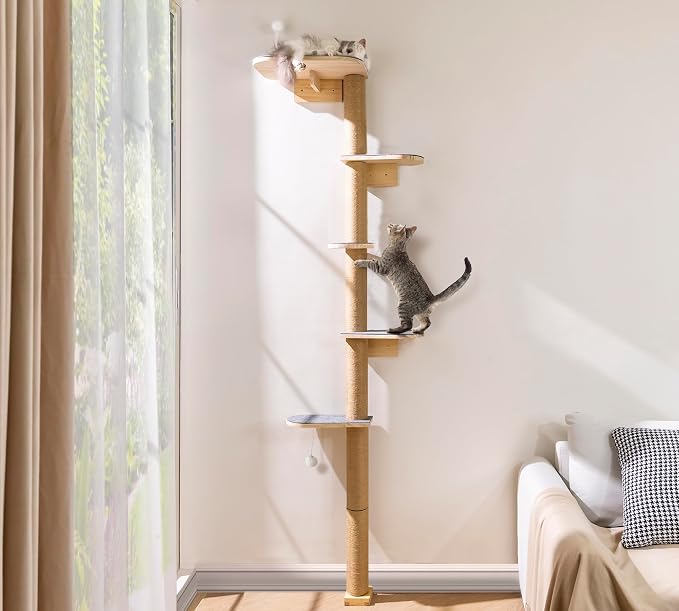 Floor to Ceiling Cat Tree for Kittens, 5-Tier Wall Mounted Cat Wall Shelves with Grey Felt Pads, Adjustable Wild Simulation Cat Tower, Natural Pine Wood Platforms for Climb, Scratch and Lookout by PELUOMOZ