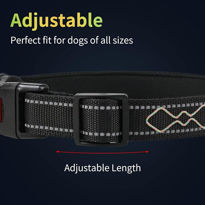 Rechargeable LED Dog Collar for Night Walking, Embroidered Rope Light | The LED light is visible from 360 degrees, anti-loss and enhancing outdoor walking safety(Large Multicolor) - Image 2