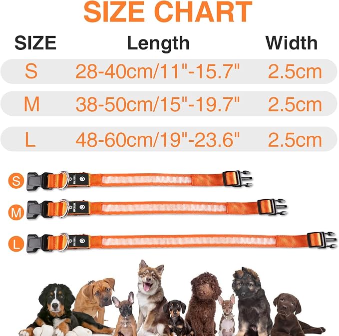 MASBRILL LED Dog Collar-Light Up Dog Collars Rechargeable Waterproof Lighted Dog Collar Night Walking Glow Collar for Small Medium Large Dogs - Image 3