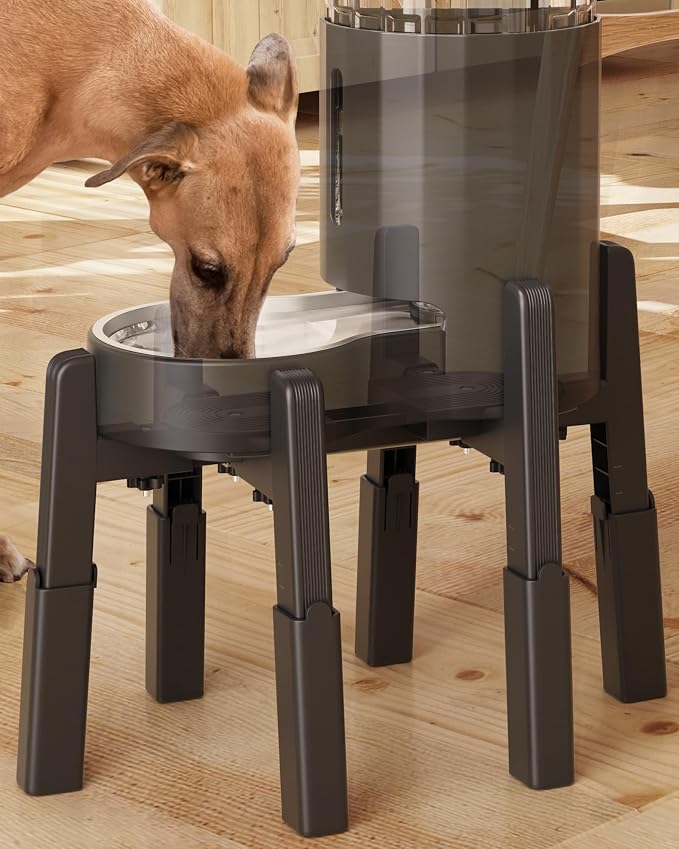 Dog Water Dispenser Stand, Pet Automatic Feeder Holder, Stand Only | Elevated Pet Water & Food Bowl for Medium Dogs, Stable and Anti-Slip Raised Bowl - Image 2