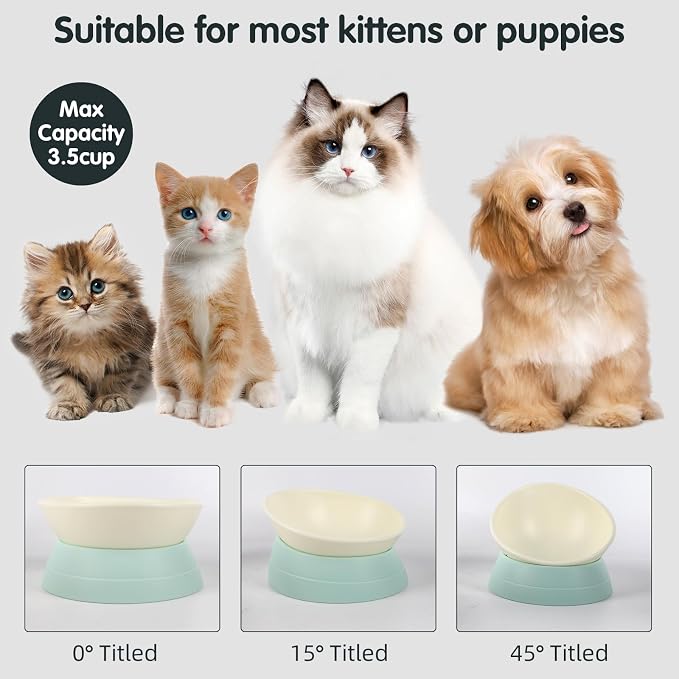 Bulldog Bowl Anti-Slip Dog Cat Dish Detachable Rubber Dog Bowl Pet Sterile Tilted Pet Feeder Slope Base (Green, 3.5 Cup (Medium/Large Dog)) - Image 3