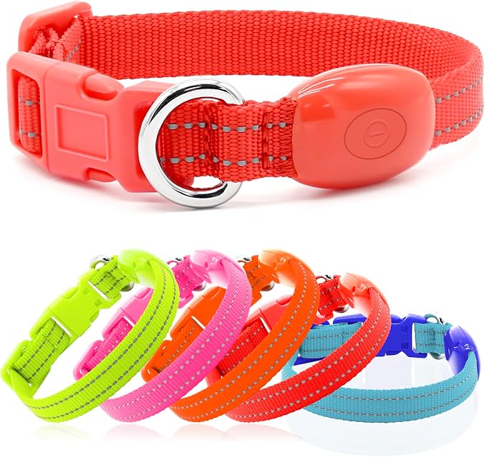 Light Up Dog Collar for Small Dogs - Rechargeable LED Cat Collar, Adjustable Reflective Puppy Collar Glowing Safety Dog Lights for Night Walking (Red) - Image 2