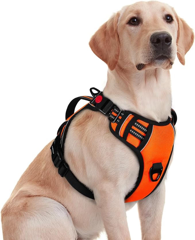 rabbitgoo Large Dog Harness, Easy Wear with 3 Buckles and Lift Handle | No Pull with Front Clip for Walking, Adjustable Soft Padded, Reflective, Easy Control, Orange, Medium by rabbitgoo