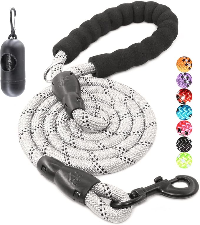 2/4/5/6 FT Dog Leash with Comfortable Padded Handle and Highly Reflective Threads for Small Medium and Large Dogs (6FT-1/2'', Silver) by BAAPET