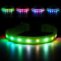 LED Dog Collar, RGB Light Up Dog Collar USB Rechargeable 6 Modes | Waterproof Light Up Dog Collar with Soft Nylon Comfort, Adjustable Fit for Small Medium Large Dogs Neon Green L by Jewyow
