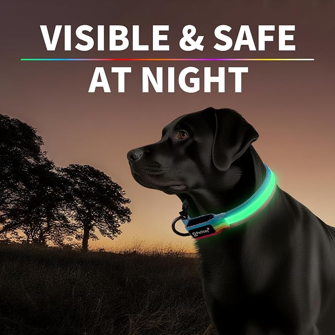 PetIsay Premium LED Dog Collar for Night Walking, USB Rechargeable(Small) | 7 Color Modes, Bright LED Illumination, Waterproof Design, Adjustable Comfort for Night Safety - Image 7