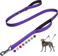 Fida Heavy Duty Dog Leash for Medium Large Dogs, 5 FT, Dual Padded Handles | Traffic Handle for Close Control, Advanced Easy Snap Hook, Reflective, Strong Nylon Webbing for Daily Walks Training, Purple by Fida