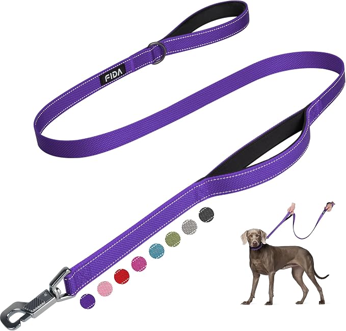 Fida Heavy Duty Dog Leash for Medium Large Dogs, 5 FT, Dual Padded Handles | Traffic Handle for Close Control, Advanced Easy Snap Hook, Reflective, Strong Nylon Webbing for Daily Walks Training, Purple by Fida