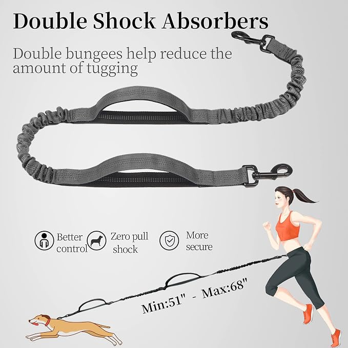 Hands Free Dog Leash with Zipper Pouch, Large, 25-120 lbs, Grey | Waist Leash, Dual Padded Handles, Shock-Absorbing Bungee, Adjustable Waist Belt, Walking and Running - Image 5