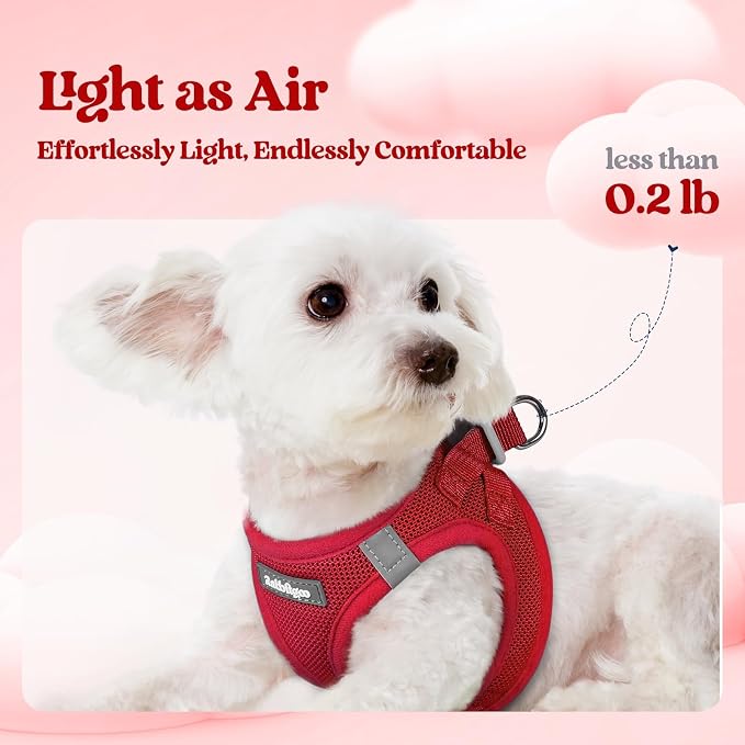 rabbitgoo Dog Harness Medium Sized and Leash Set, Step-in Puppy Pet Vest | Light, Soft, Breathable Air Mesh, Easy on and Remove with Hook & Loop, Secure Reflective for Walking, Red XXL - Image 3