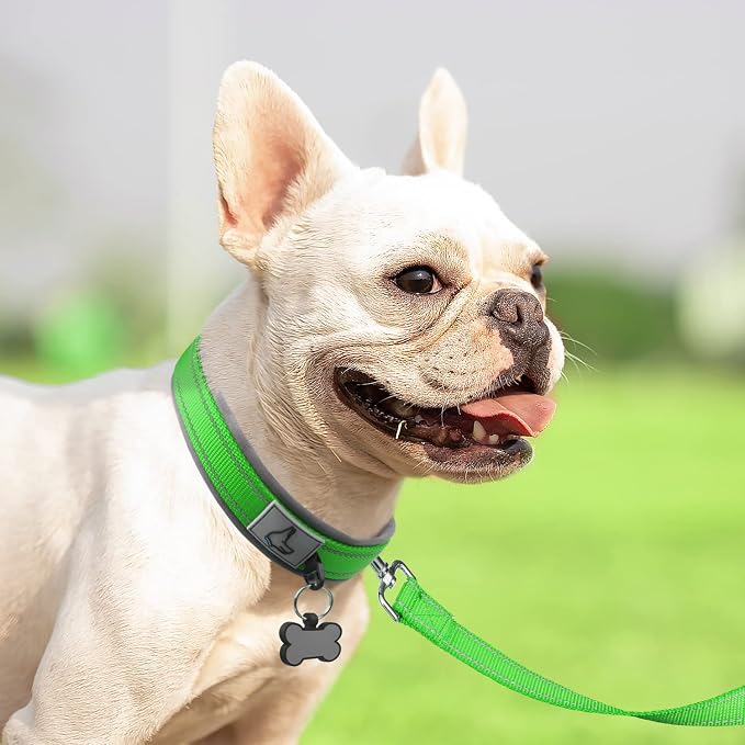 Joytale Reflective Dog Collar for Small Dogs with Wide Padding, Green | Soft Cushion Reduce Neck Strain, Night Safety Walking, Metal Buckle and Adjustable Eyelets, Separated Dog ID Tag Ring - Image 7