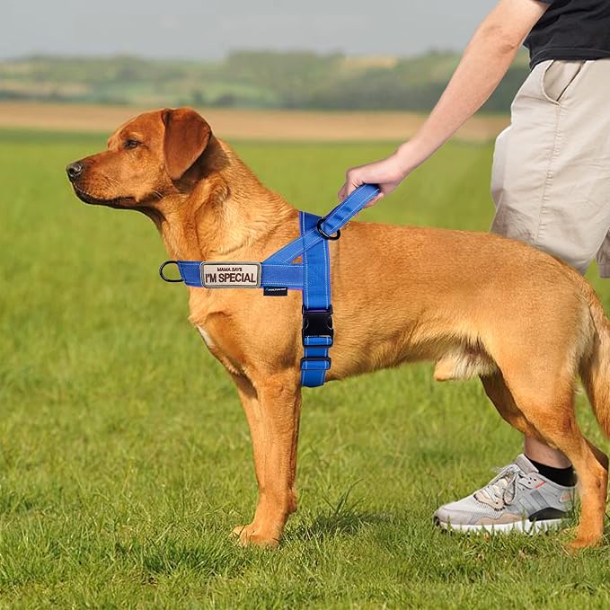 Annchwool No Pull Dog Harness with Soft Padded Handle-Reflective Strip Escape Proof and Quick Fit to Adjust Dog Harness-Easy for Training Walking for Small & Medium and Large Dogs(Blue,XS,1 in Width) - Image 5