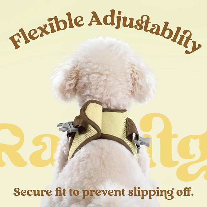 rabbitgoo Dog Harness Small Sized and Leash Set, Step in Soft Vest | Breathable Mesh, Easy Wear with Hook & Loop, Light and Reflective for Walking, Multi-colored, Beige & Coffee, XXS - Image 6