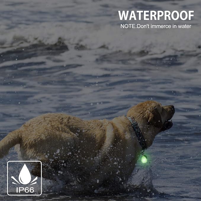 2-Pack Rechargeable Dog Light, Dog Collar Light,Waterproof,3 Modes LED Dog Safety Lights,Multiple Color Options,Clip On Collar, Leash or Harness，Night Light for Running,Walking - Image 6