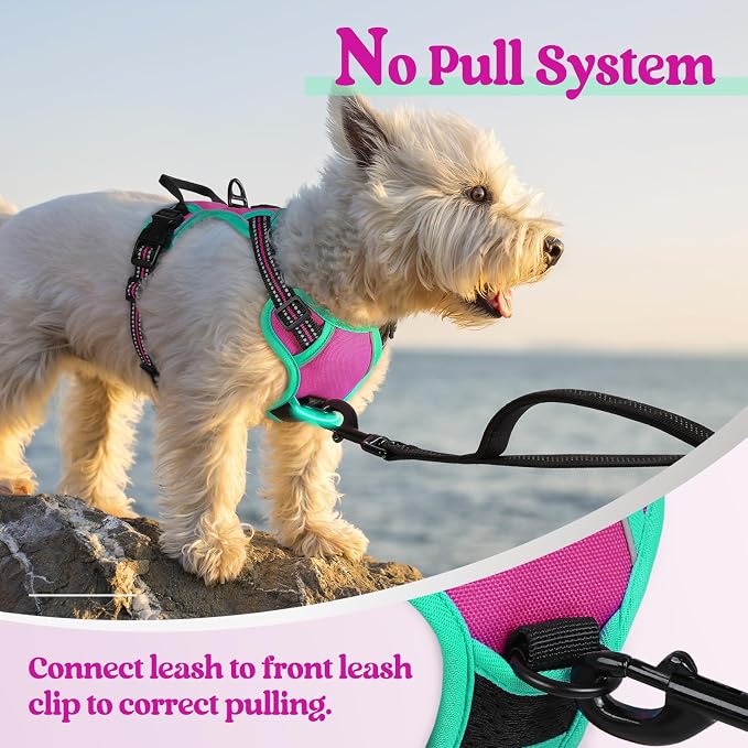 rabbitgoo Dog Harness, No Pull for Small Dogs with 2 Leash Clips, Pet Vest | No Choke with Handle, Adjustable Soft Padded, Reflective, Easy Control for Walking, Hot Pink & Turquoise, X-Small - Image 5