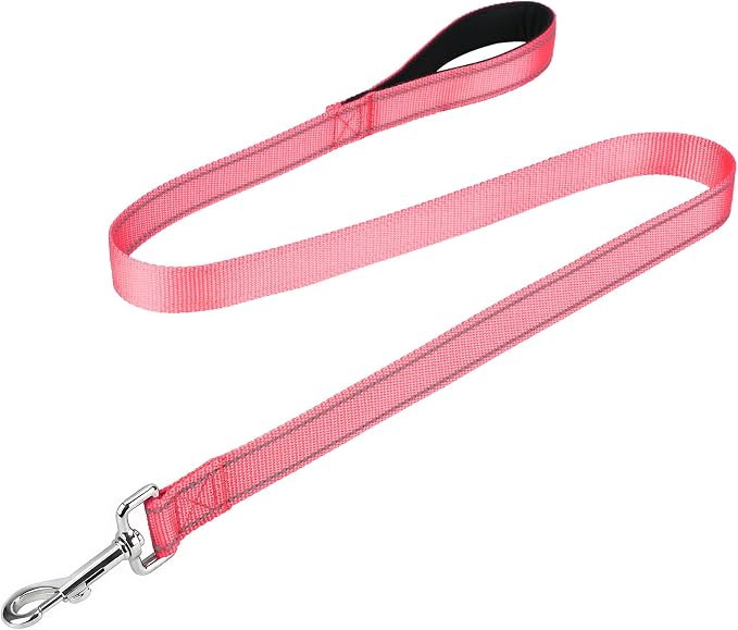 FunTags Reflective Nylon Dog Leash for Medium & Large Dogs, 4FT Training | Comfortable Padded Grip, Stay Safe at Night, 360° Anti-Tangle Swivel, for Dog Parks & Trails, Neon Pink by FUNSTARTSHERE