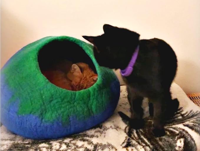 Luxurious Merino Wool Cat Cave - Foldable Hideaway Pod for Indoor Cats - Premium Felt Kitten Pet Enclosure - Covered Cat House for Ultimate Cozy Comfort by Woolygon (Blue Green) - Image 3