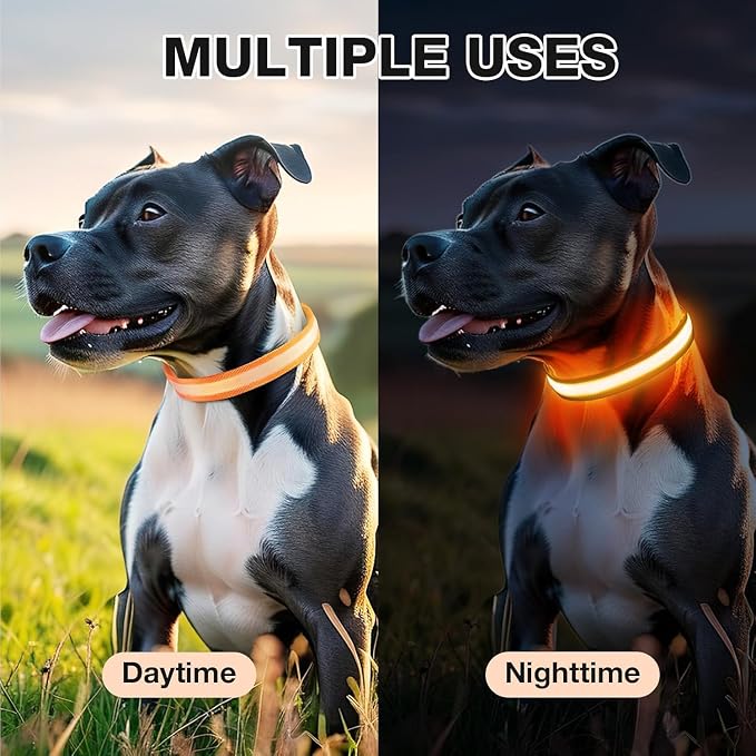 PcEoTllar Light up Dog Collar, for Night Walking, Adjustable, Orange, L | Colorful RGB Light, Waterproof, For Small Medium and Large Dogs, Durable Material, USB to Charge - Image 5