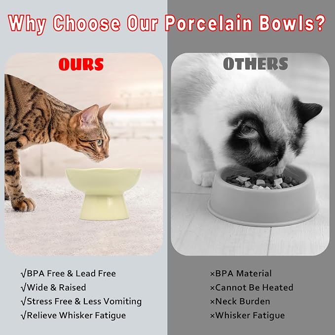 6.1" Wide 1.57" Deep Elevated Cat Bowls, Ceramic Water Bowls for Flat Faced Cats,Cat Feeder,Stress Free,Protect Cat’s Spine,Cream - Image 6