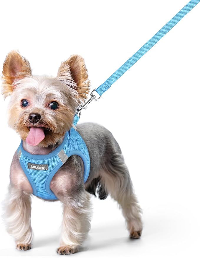 rabbitgoo Dog Harness Small Sized and Leash Set, Step-in Puppy Pet Vest | Light, Soft, Breathable Air Mesh, Easy on and Remove with Hook & Loop, Secure Reflective for Walking, Blue XS by rabbitgoo