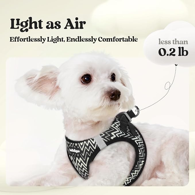 rabbitgoo Dog Harness Small Sized and Leash Set, Step-in Puppy Pet Vest | Light, Soft, Breathable Air Mesh, Easy on and Remove with Hook & Loop, Secure Reflective for Walking, Black Zigzag S - Image 3