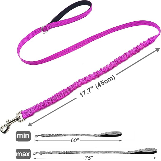 5FT Bungee Dog Leash Shock Absorbing Lightweight Small Medium Dogs | Reflective Nylon Lead- 2cm Wide- Soft Handle- Anti-Pull Training- 6 Colors - Image 3