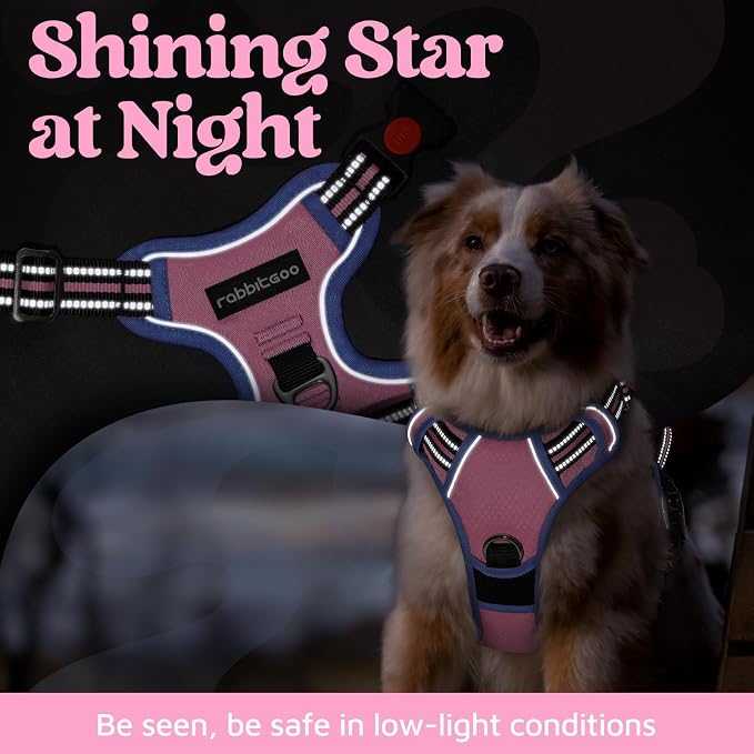 rabbitgoo Dog Harness for Large, No Pull 3 Buckles Easy On & Off | Soft Padded, Walking with Control Handle, Adjustable and Reflective, Light Pink & Blue, Large - Image 6